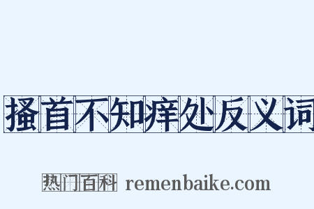 搔首不知痒处反义词是什么意思的图片